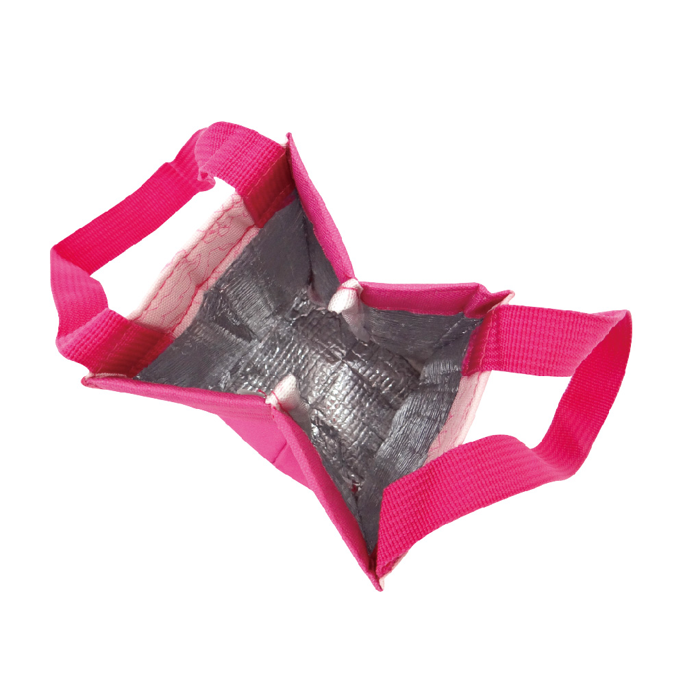 蠟筆小新-飲料提袋-巧克比恐龍