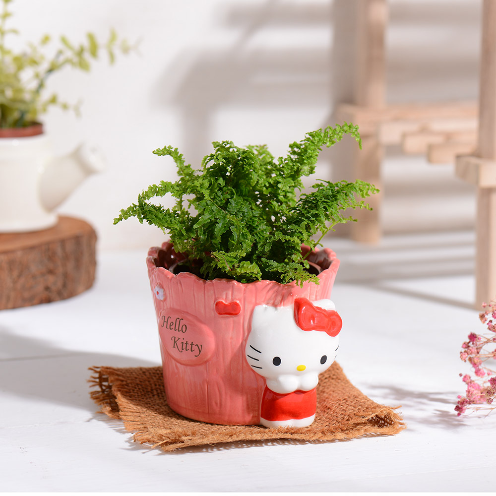 proimages/product-B01/B2023/B23-20-凱蒂貓花器/Hello_Kitty_紅木欄陶瓷三號盆-04.jpg